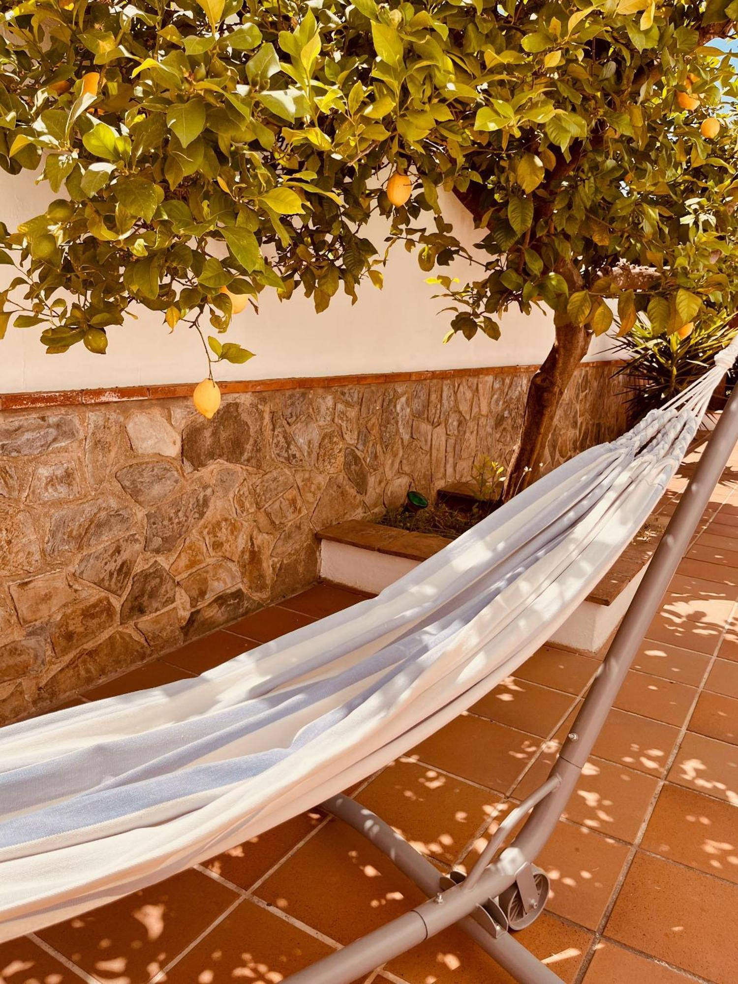 Casa Limon, Boutique Bed And Breakfast, Adults Only Alhaurín el Grande Εξωτερικό φωτογραφία